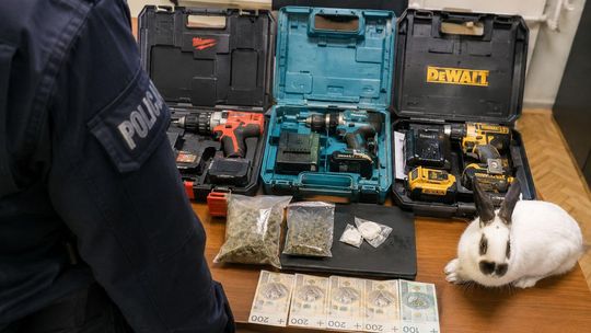 Włamanie do mercedesa, narkotyki i rasowy królik. Policja zatrzymała 19-latkę