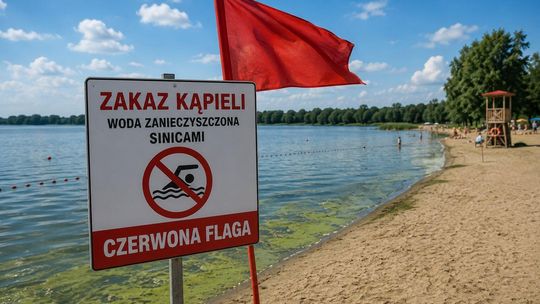 Zakaz kąpieli na Plaży 600-lecia w Wieliszewie