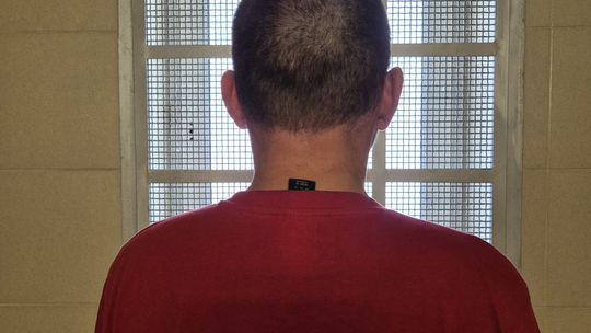 Zgłaszała kradzież, a policjanci już łapali złodzieja. Błyskawiczna akcja w Nieporęcie