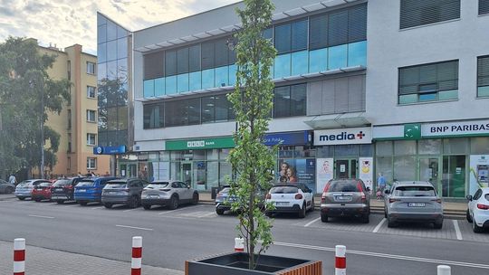 Zielona transformacja ul. Piłsudskiego?