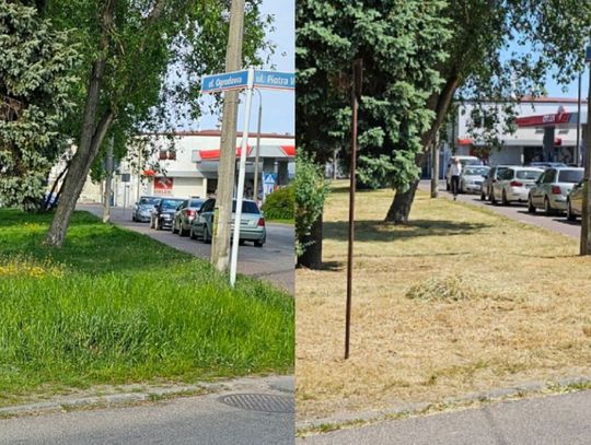 APEL CZYTELNIKA. Koszą TRAWNIKI zamiast pielęgnować...