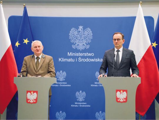 Będą nowe lasy – kupujemy tereny pod zalesianie