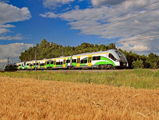Bilet wycieczkowy KM. 200 km na zwiedzanie Mazowsza