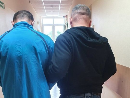 CHOTMÓW. Zatrzymany za bezczelną kradzież kabli