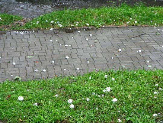 CHOTOMÓW. Otwarcie ofert na budowę chodnika