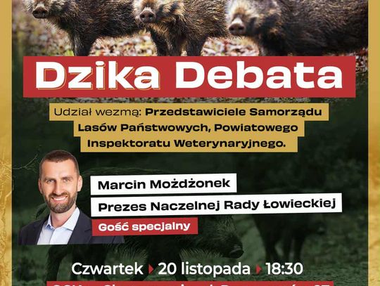 Dzikie stają się ulice