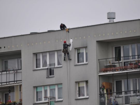 Dziura po DZIĘCIOLE?