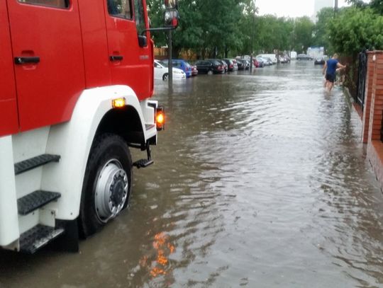 DZIWIĘ SIĘ. Gdzie jest Noe?