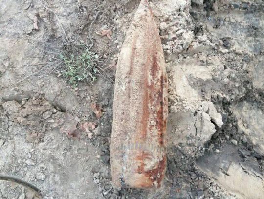 Ewakuacja i interwencja saperów przy SP nr 8