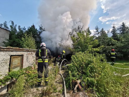 JABŁONNA. 6 zastępów do pożaru altany z drewnem na opał