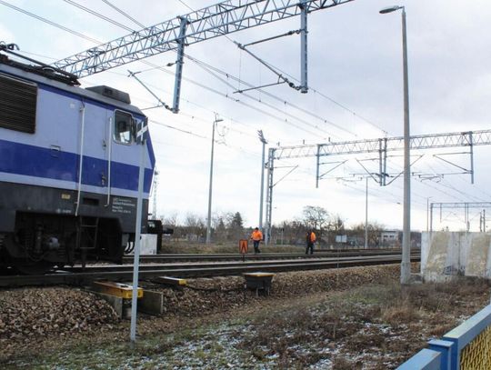 JABŁONNA. Pociąg zderzył się ze stadem dzików