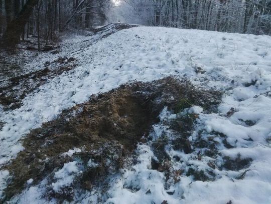 JABŁONNA. Wały uszkodzone. Niebezpieczeństwo powodzi?