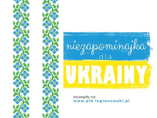 KULTURA. Niezapominajka dla Ukrainy