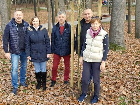 LEGIONOWO. 100 drzew na 100-lecie odzyskania Niepodległości