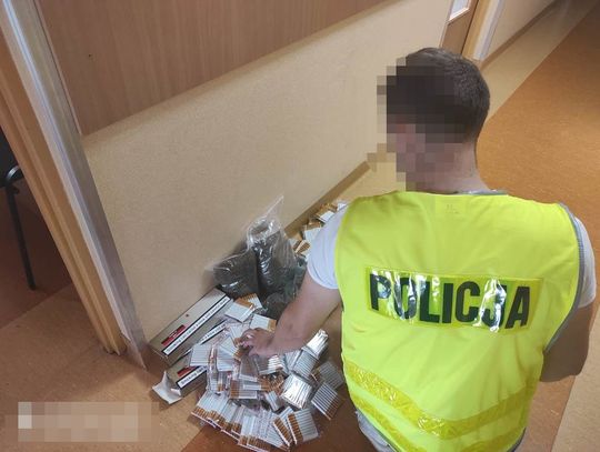 LEGIONOWO. 2540 nielegalnych papierosów znalezione w sklepie osiedlowym