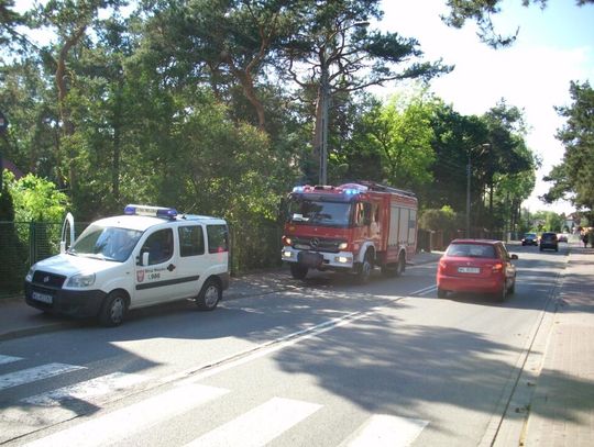 LEGIONOWO. 6 strażaków ratowało kota