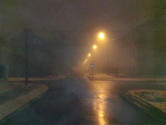LEGIONOWO. Aplikacja „Smogogród” pomoże w walce z trucicielami