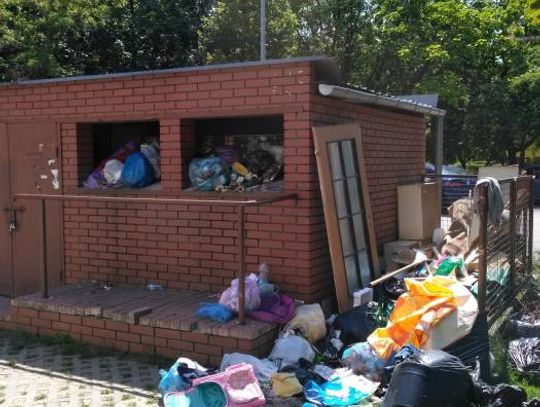 LEGIONOWO. Brud, smród i robaki