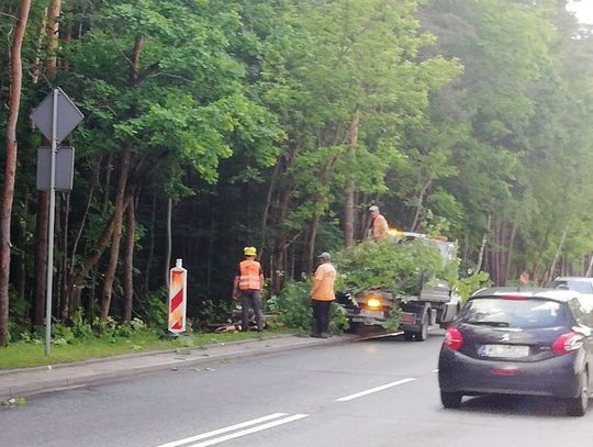 LEGIONOWO. Budują ścieżkę przy legionowskim cmentarzu