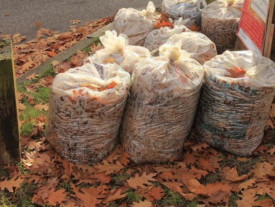 LEGIONOWO. Dodatkowe worki na śmieci dostaniesz w urzędzie