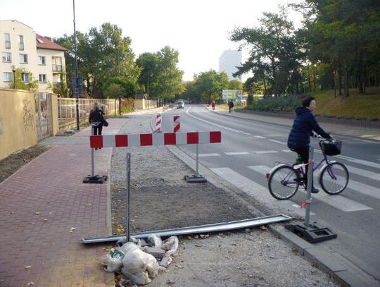 LEGIONOWO. Drzewka blokują ścieżki, a wyspy są nieprzejezdne