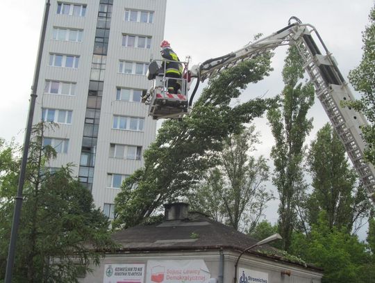 LEGIONOWO.  Drzewo runęło na dom