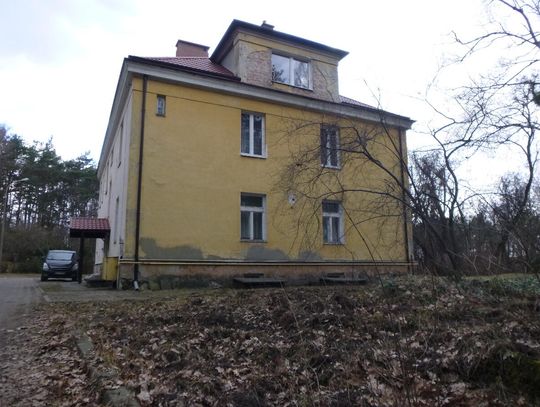 LEGIONOWO. Dziki zmorą mieszkańców Zegrzyńskiej