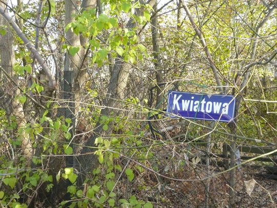 LEGIONOWO. Ekshibicjonista w „leśniczówce”?