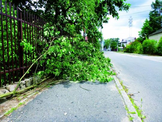 LEGIONOWO. Energetykom wolno więcej?