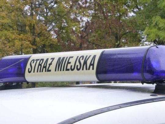 LEGIONOWO. Grudniowe wyniki pracy strażników miejskich