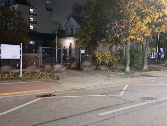 Legionowo. Jak rozwiązać problem DZIKÓW? Walka o zmianę prawa i odstraszanie dzików