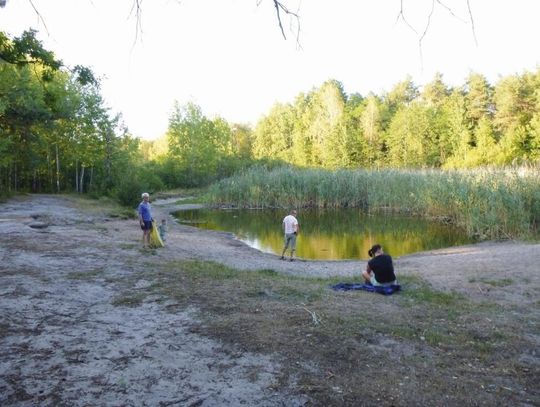 LEGIONOWO. Jeziorko w lesie ma wypięknieć