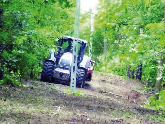 LEGIONOWO. Las powinien być zachowany