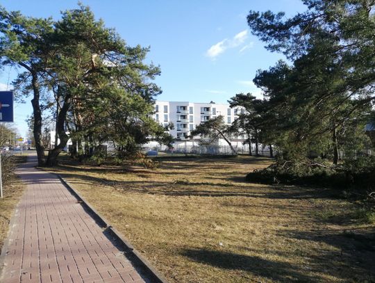 LEGIONOWO. Małe enklawy do wypoczynku. Pomysły mieszkańców