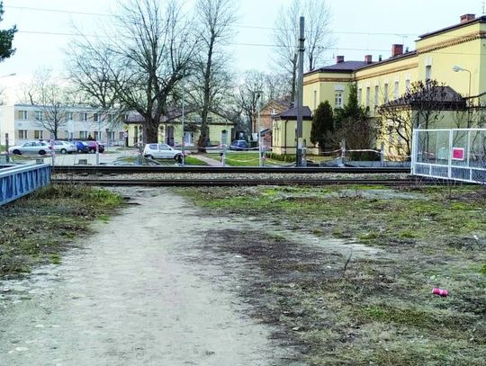 Legionowo. Mieszkańcy proszą o pomoc: Pluskwy na os. Kozłówka
