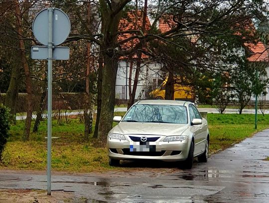 LEGIONOWO. Mieszkańcy skarżą się na niszczycieli zieleni