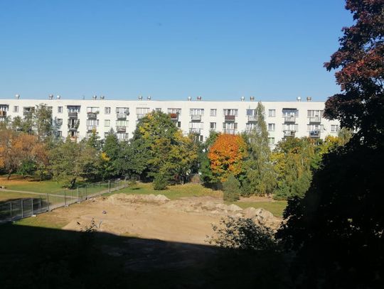 LEGIONOWO. Myszy też nie lubią chloru?