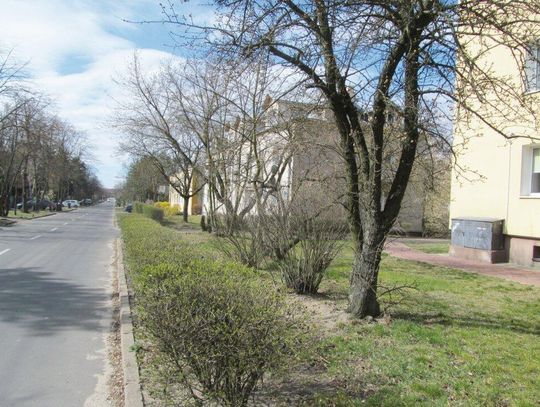 LEGIONOWO. Na Grzybowej i Daliowej...