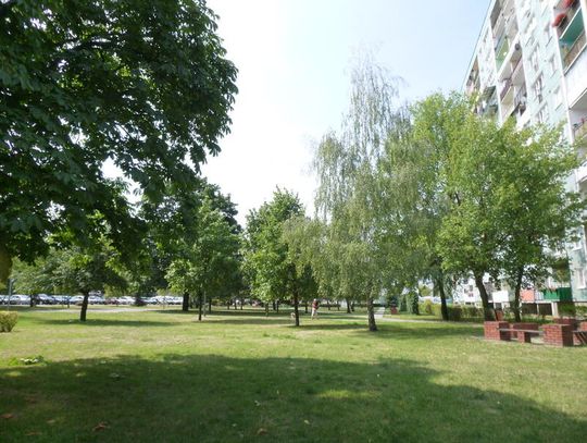 LEGIONOWO. Nachalnego dogęszczania ciąg dalszy