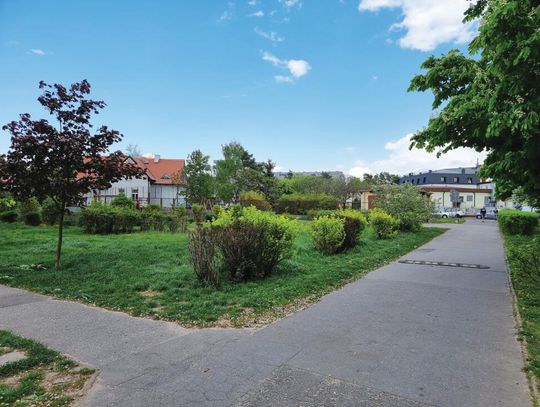 LEGIONOWO. Nie chcą likwidacji ZIELONEGO SKWERU!