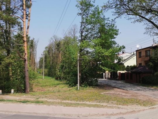 LEGIONOWO. Nie sprzeda lasu deweloperom