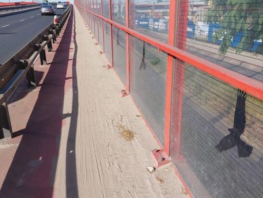 LEGIONOWO. Niebezpieczny chodnik na legionowskim wiadukcie!