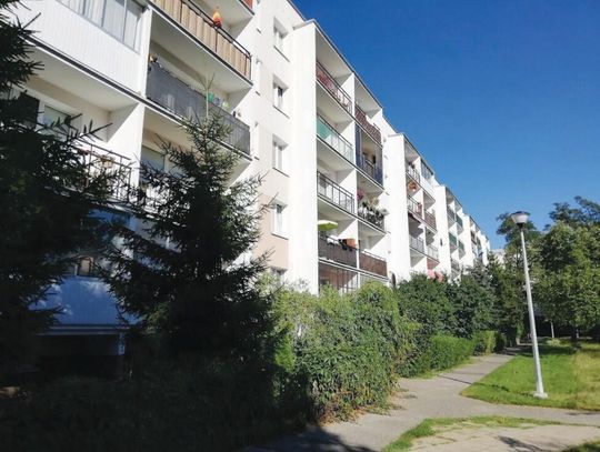LEGIONOWO. PLUSKWY w zasobach spółdzielni?