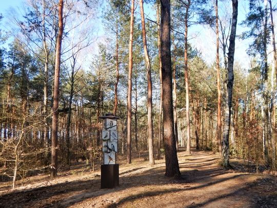 LEGIONOWO. Policja zatrzymała pedofila – skrzywdził 10-latkę