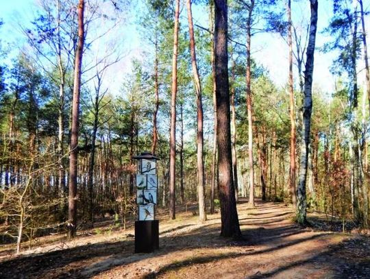 LEGIONOWO. Prokuratura będzie wnioskować o najwyższy wymiar kary