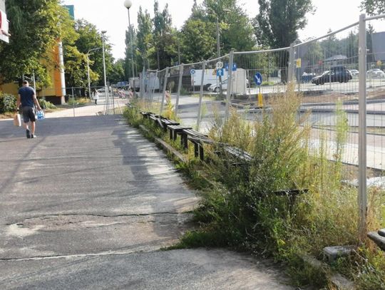 LEGIONOWO. Resztki ławek „szukają” właściciela