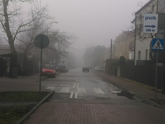 LEGIONOWO. Spacerkiem po Smogogrodzie