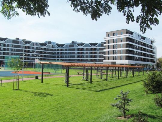 LEGIONOWO. Sukces ma wielu ojców, czasem nawet dwie matki