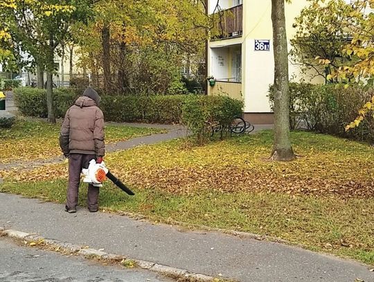 LEGIONOWO. Używają dmuchaw pomimo zakazu