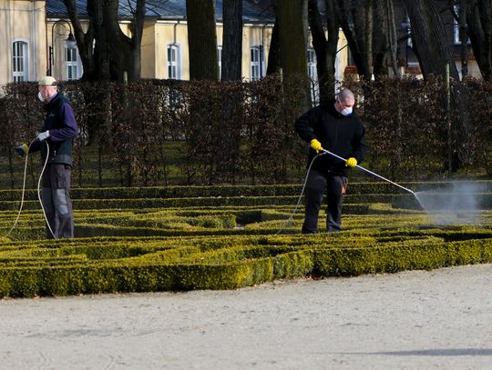 LEGIONOWO. W nocy zdezynfekują Legionowo